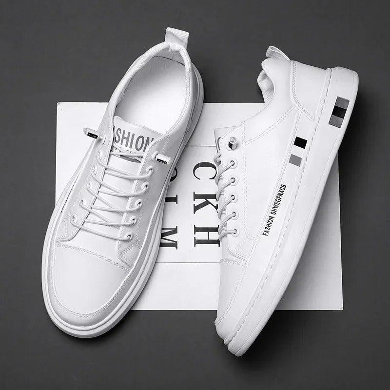 gid://shopify/MediaImage/24692157808734