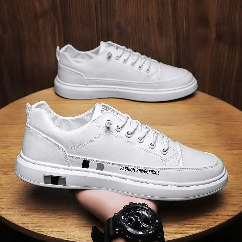 gid://shopify/MediaImage/24692157841502